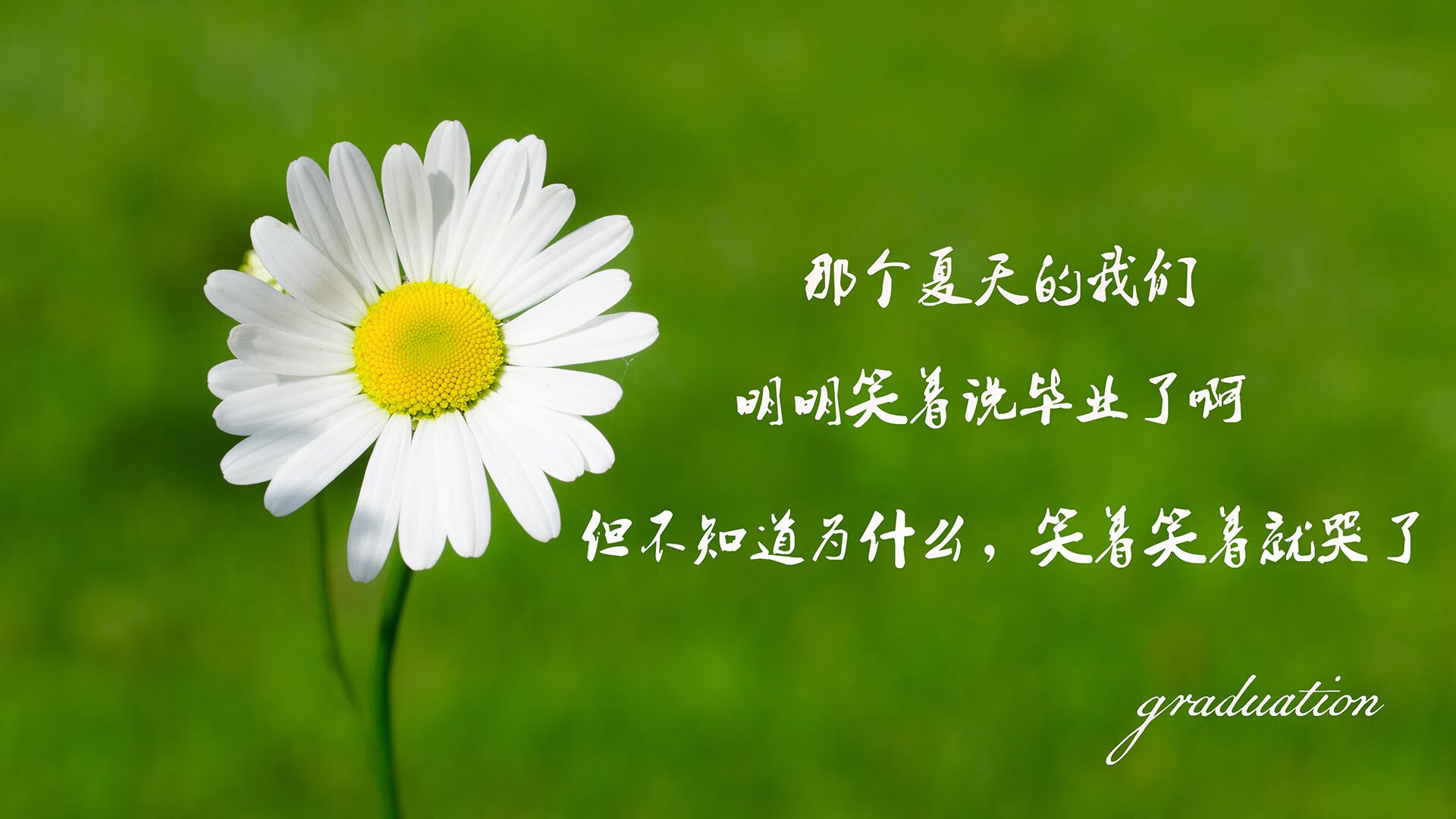 _北美洲网球明星邀请赛：巅峰对决展现顶级水平_，北美洲预选赛积分榜