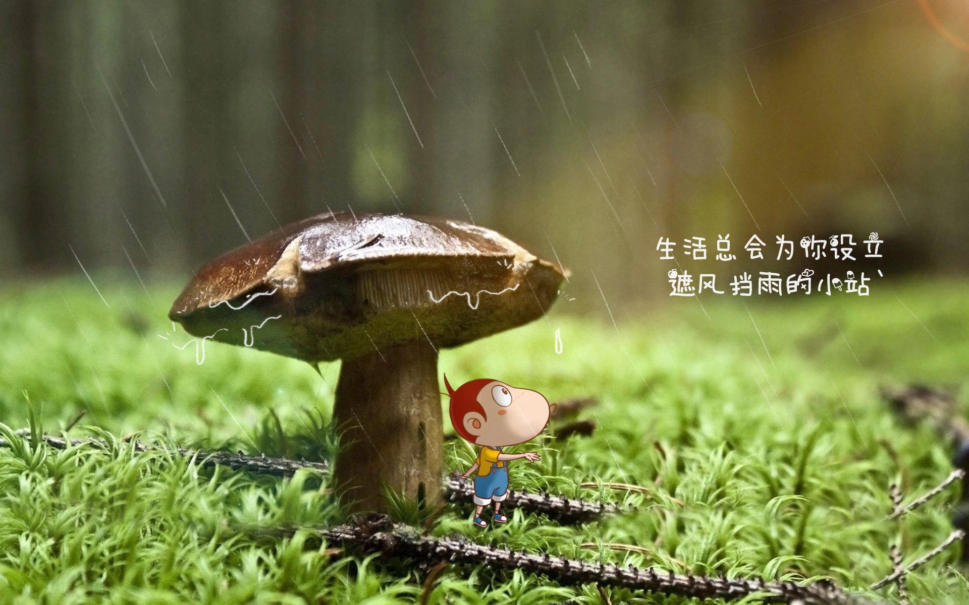 开云首页登录-_城市空中桥奔跑：创新运动新体验_，空中路桥