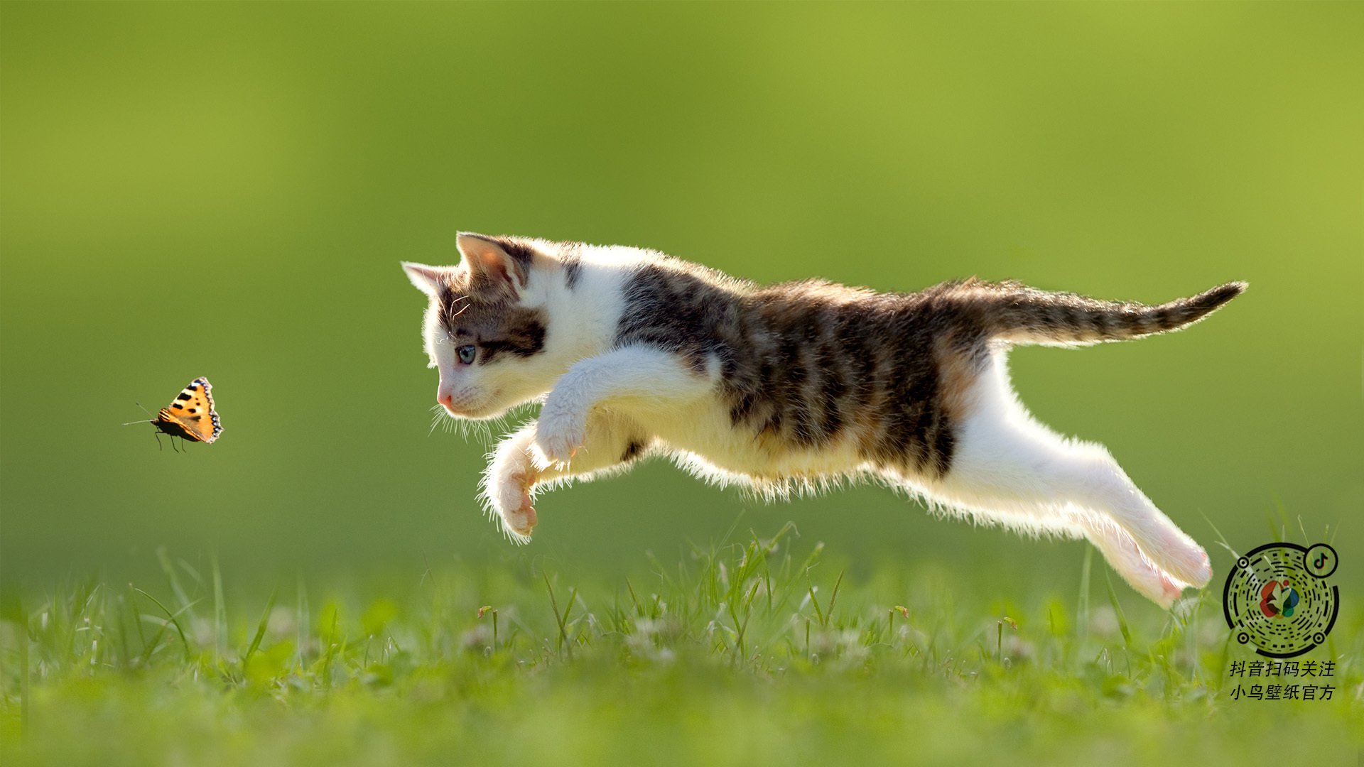 中国篮球在国际舞台上的影响力持续扩大，中国在篮球方面取得的成就