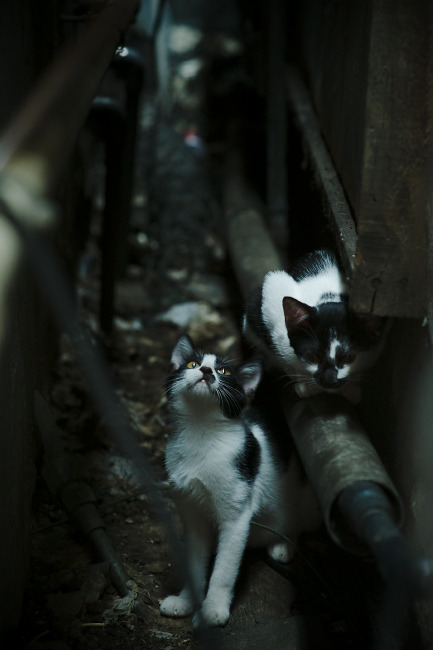 开云官方-决战夜：最激烈悬念的欧冠决赛盘点，欧冠决赛决赛地点