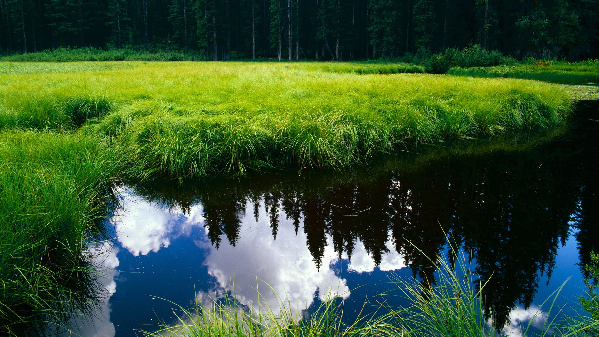 决战夜:最激烈悬念的欧冠决赛盘点,欧冠决赛决赛地点