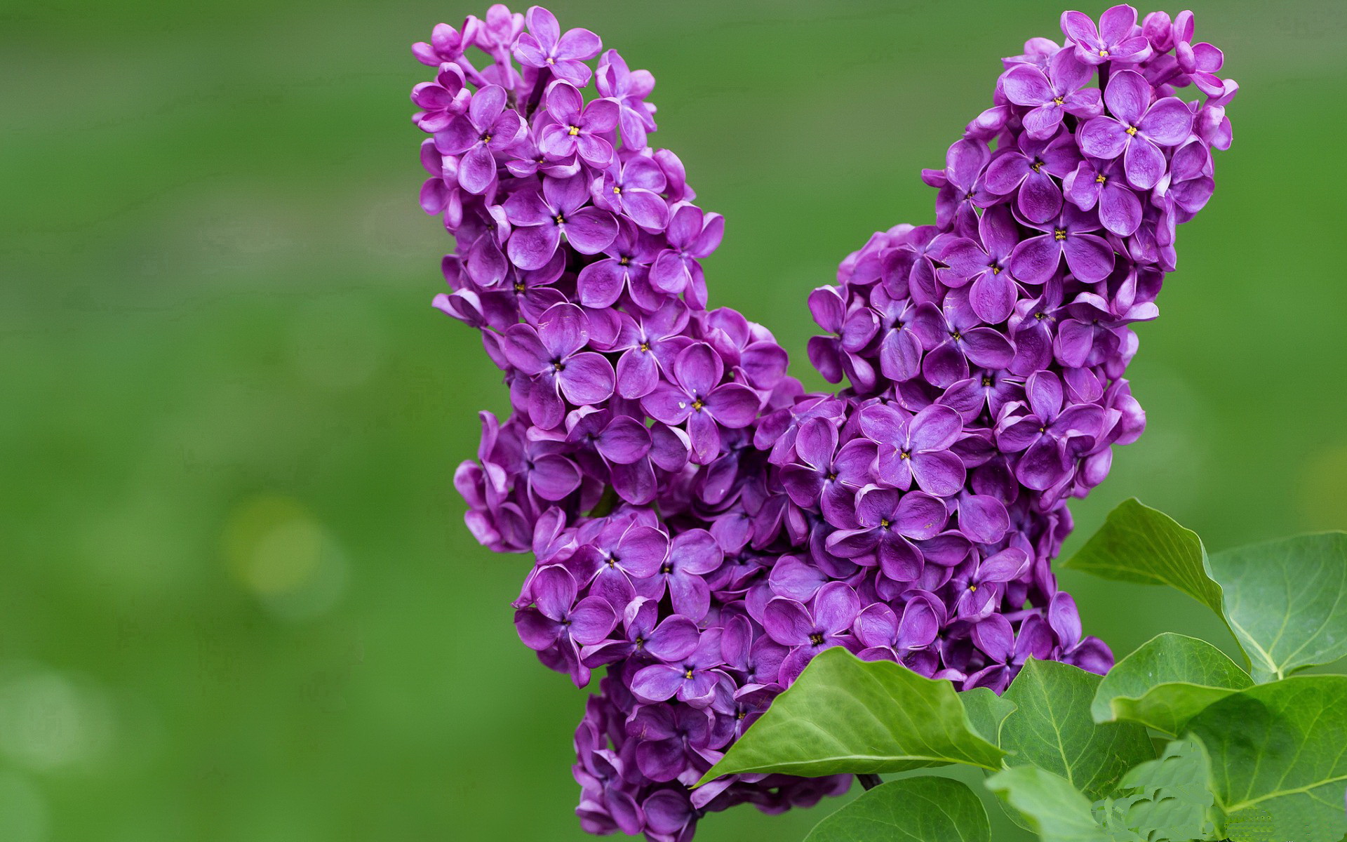 开云官网首页-出台瑜伽行业税收优惠政策，支持企业发展，瑜伽馆怎么交税